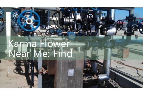 Karma Flower Near Me: Find Dispensary Menu and Deals Locally